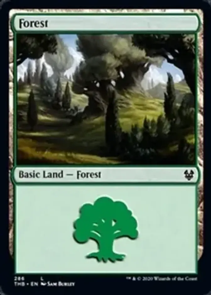 Forest <286> [THB]