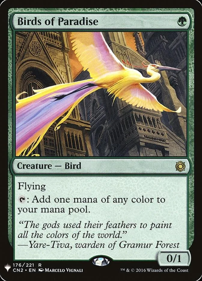 Birds of Paradise [MB1]