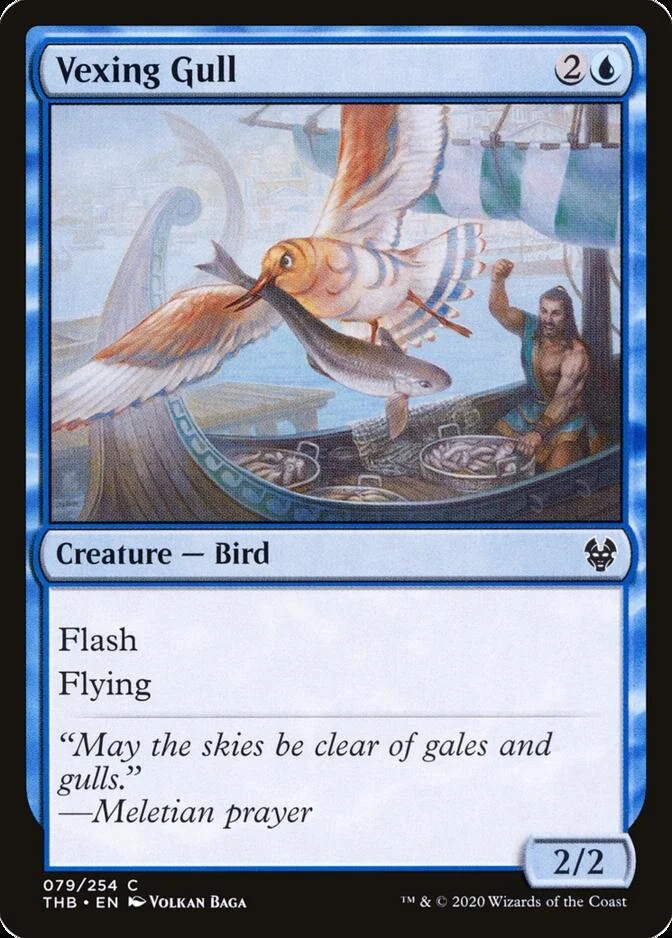 Vexing Gull [THB]