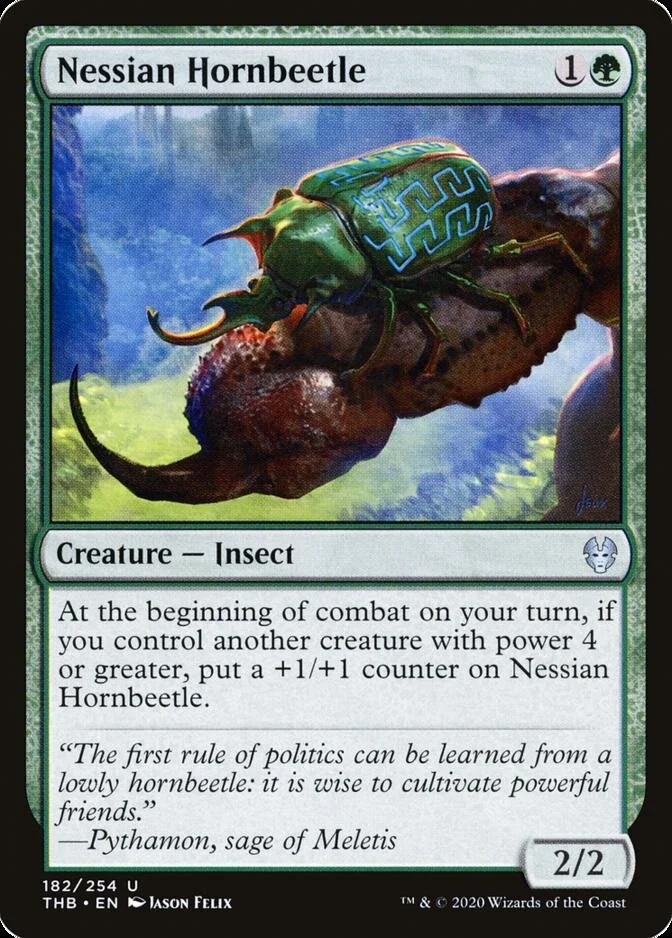 Nessian Hornbeetle [THB] (F)