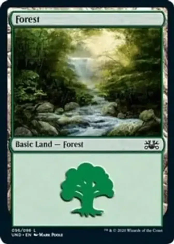 Forest <95> [UND]