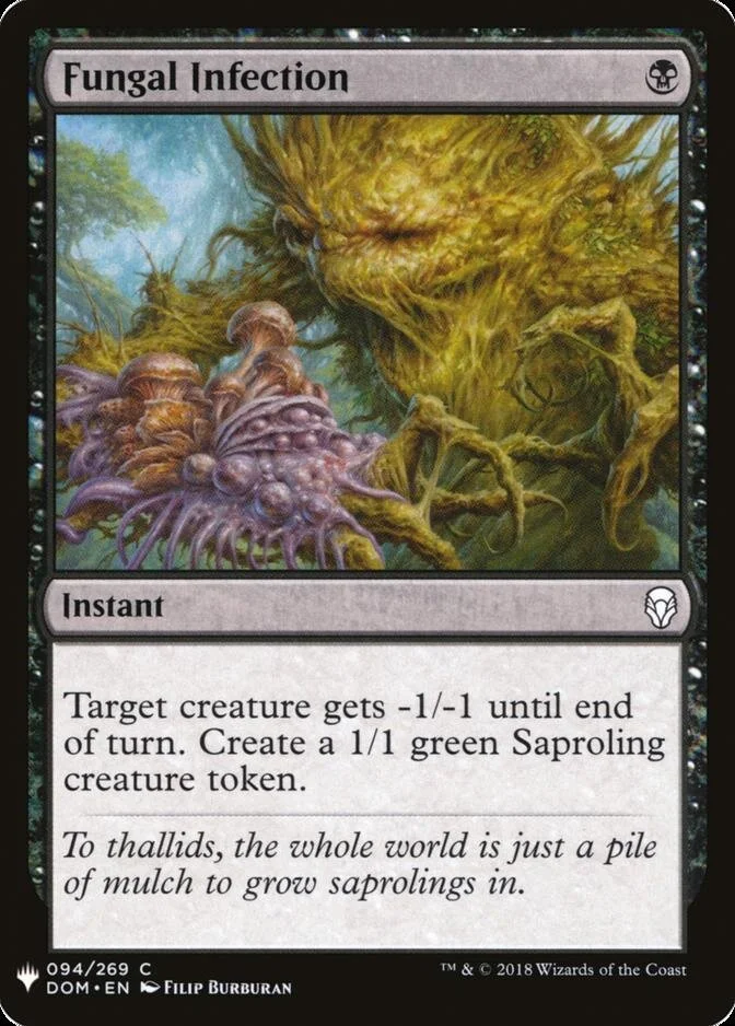 Fungal Infection [MB1]
