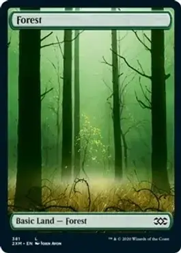 Forest