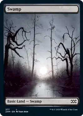 Swamp