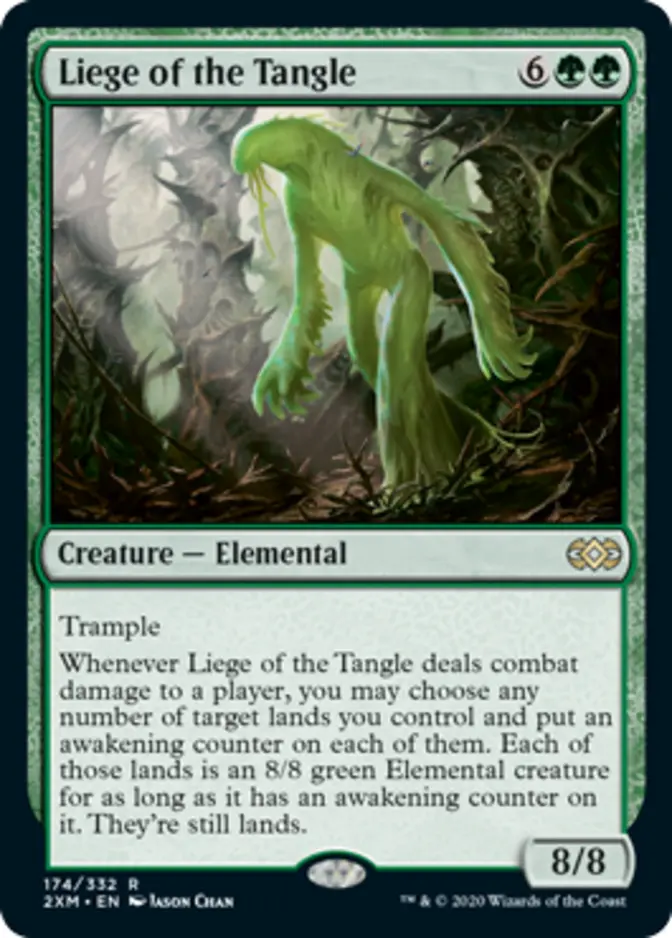 Liege of the Tangle [2XM]
