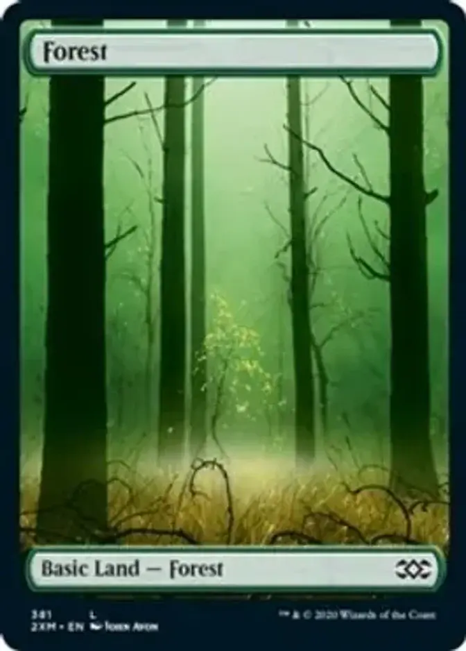 Forest <381> [2XM] (F)