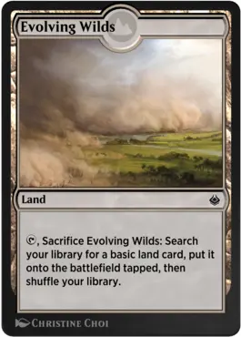 Evolving Wilds