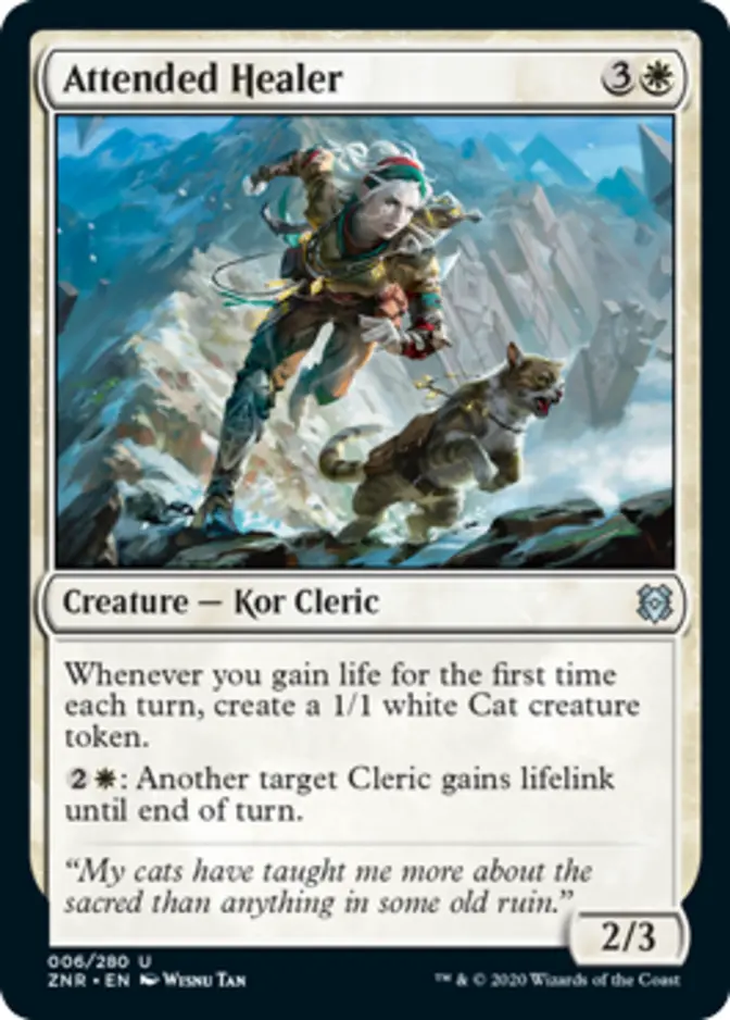 Attended Healer [ZNR]