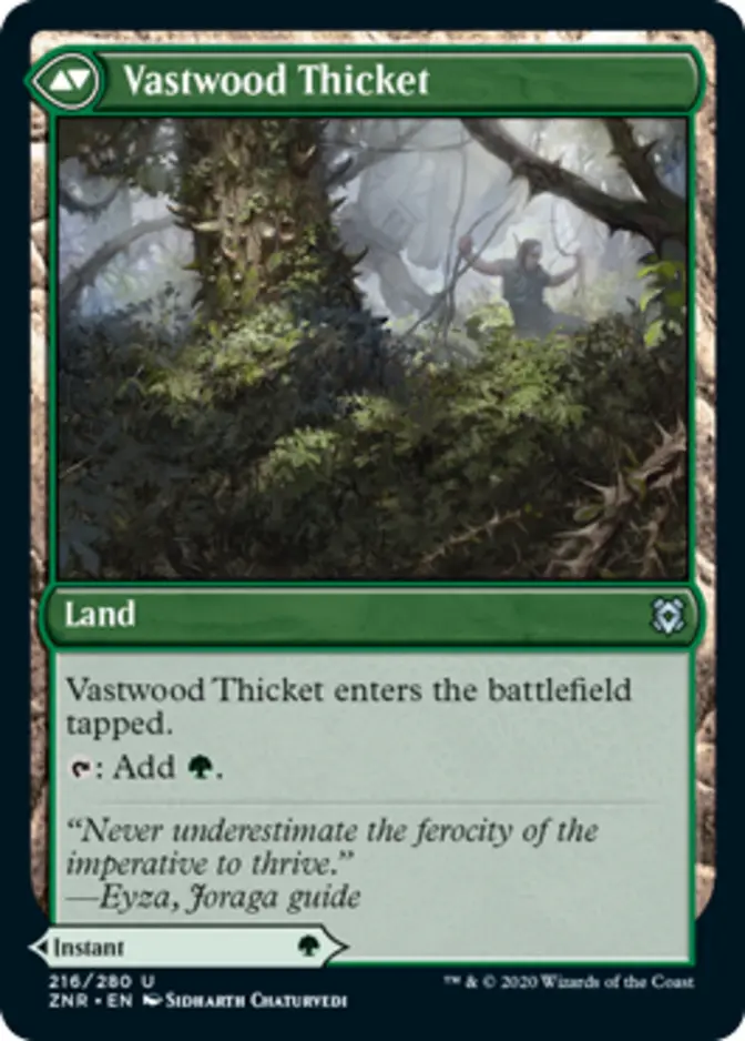 Vastwood Thicket [ZNR]