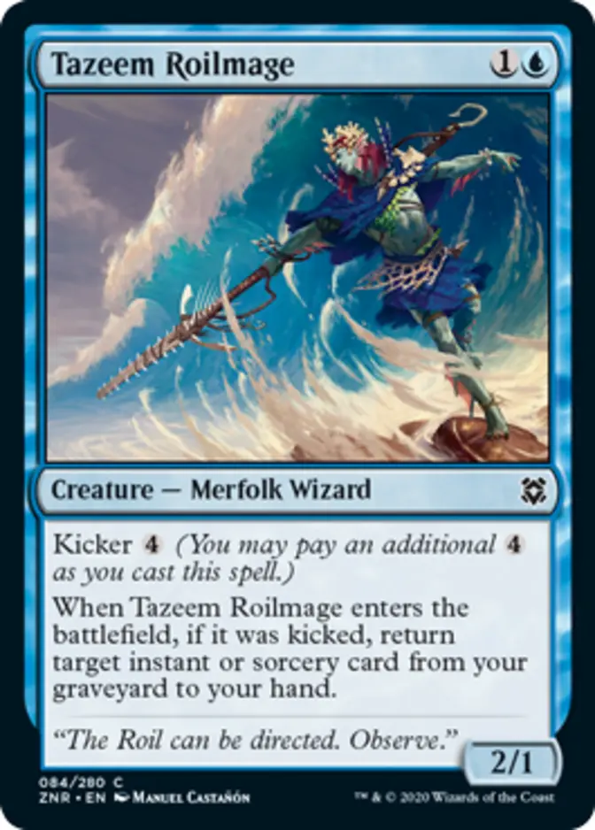 Tazeem Roilmage [ZNR]