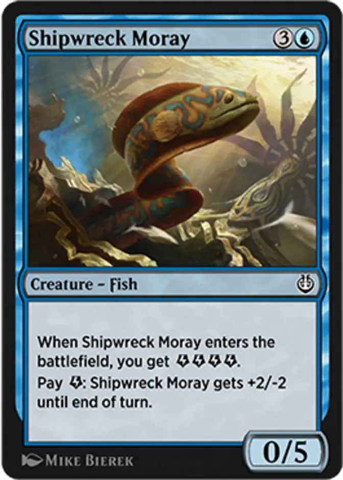 Shipwreck Moray [KLR]