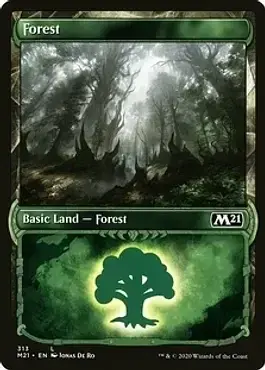 Forest