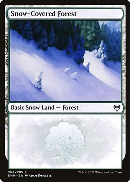 Snow-Covered Forest