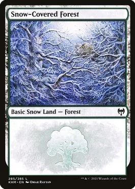 Snow-Covered Forest