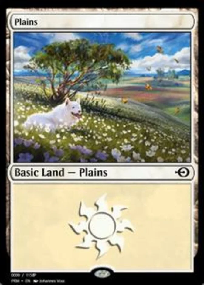 Plains <413496> [PRM]