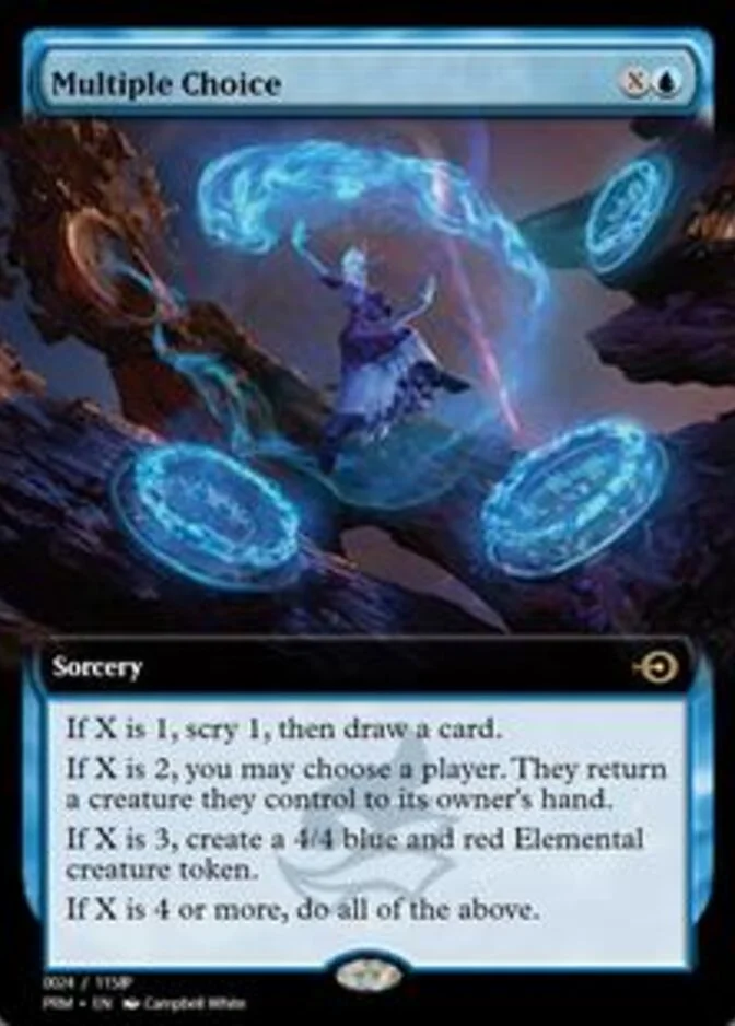 Multiple Choice <24> [PRM]