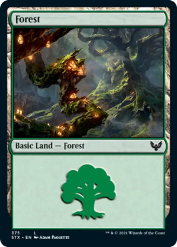 Forest <375> [STX] (F)