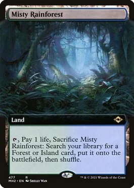 Misty Rainforest