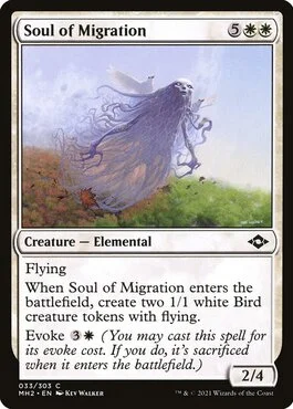 Soul of Migration