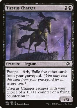 Tizerus Charger