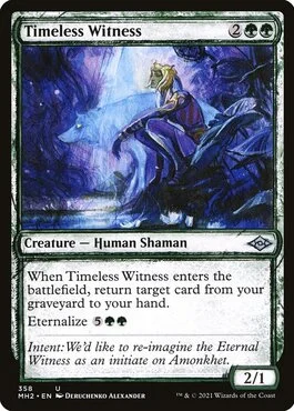 Timeless Witness