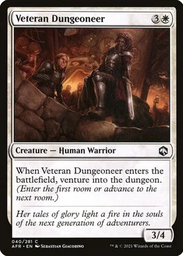 Veteran Dungeoneer