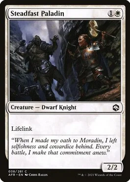 Steadfast Paladin