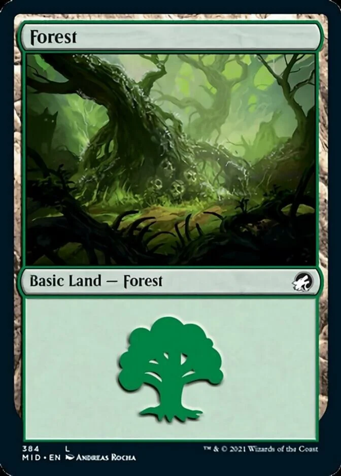 Forest <384> [MID]