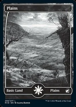 Plains