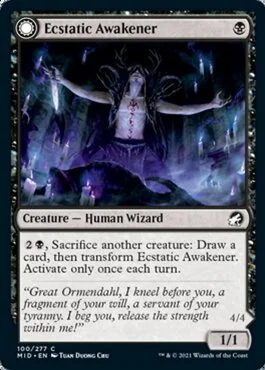 Ecstatic Awakener