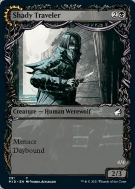 Shady Traveler