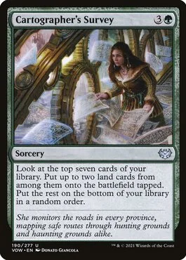 Cartographer's Survey