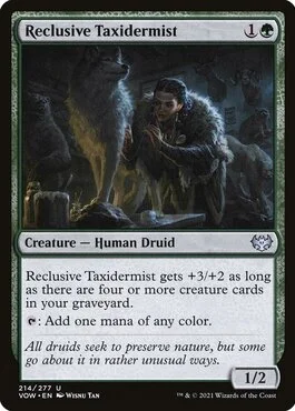 Reclusive Taxidermist