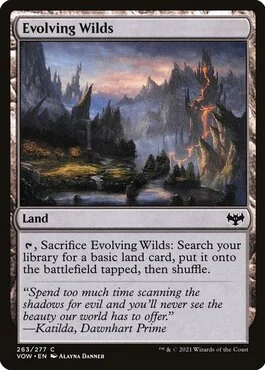 Evolving Wilds