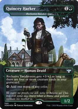 Reclusive Taxidermist