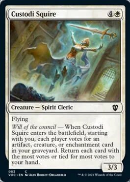Custodi Squire