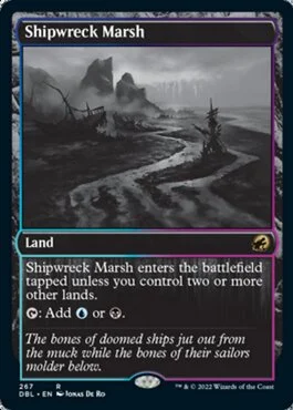 Shipwreck Marsh