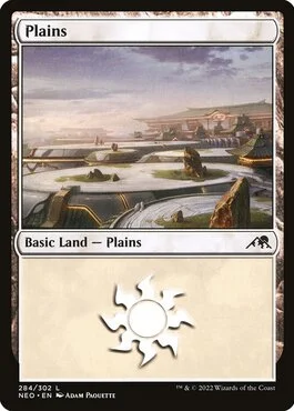 Plains