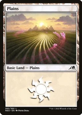 Plains