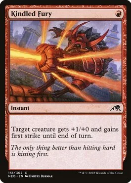 Kindled Fury