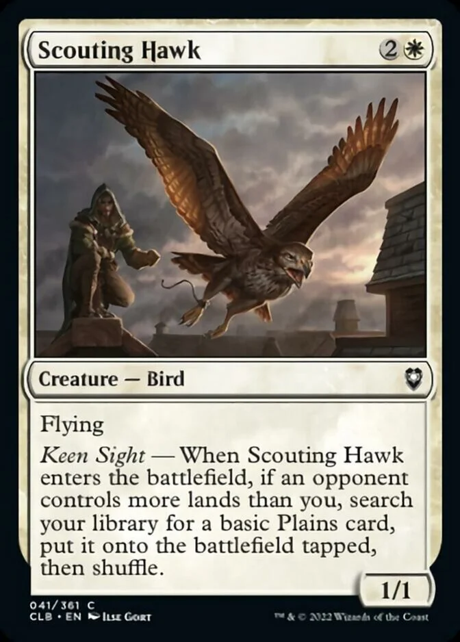 Scouting Hawk [CLB]