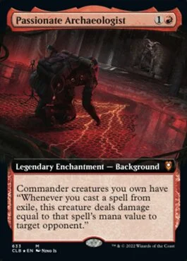 Passionate Archaeologist