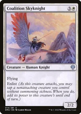Coalition Skyknight