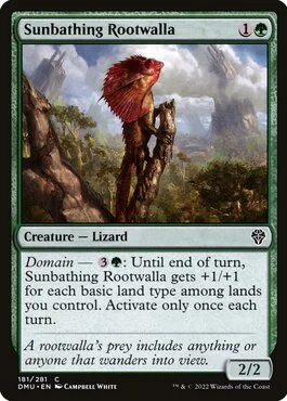 Sunbathing Rootwalla