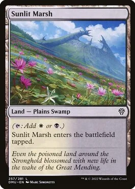 Sunlit Marsh
