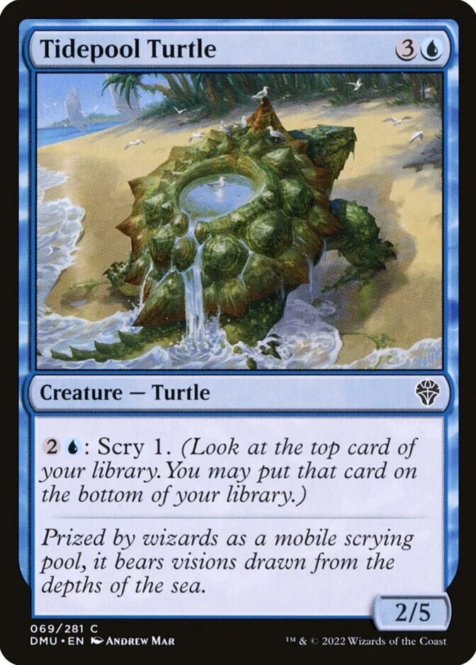 Tidepool Turtle [DMU] (F)