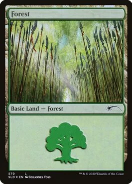Forest