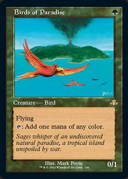 Birds of Paradise