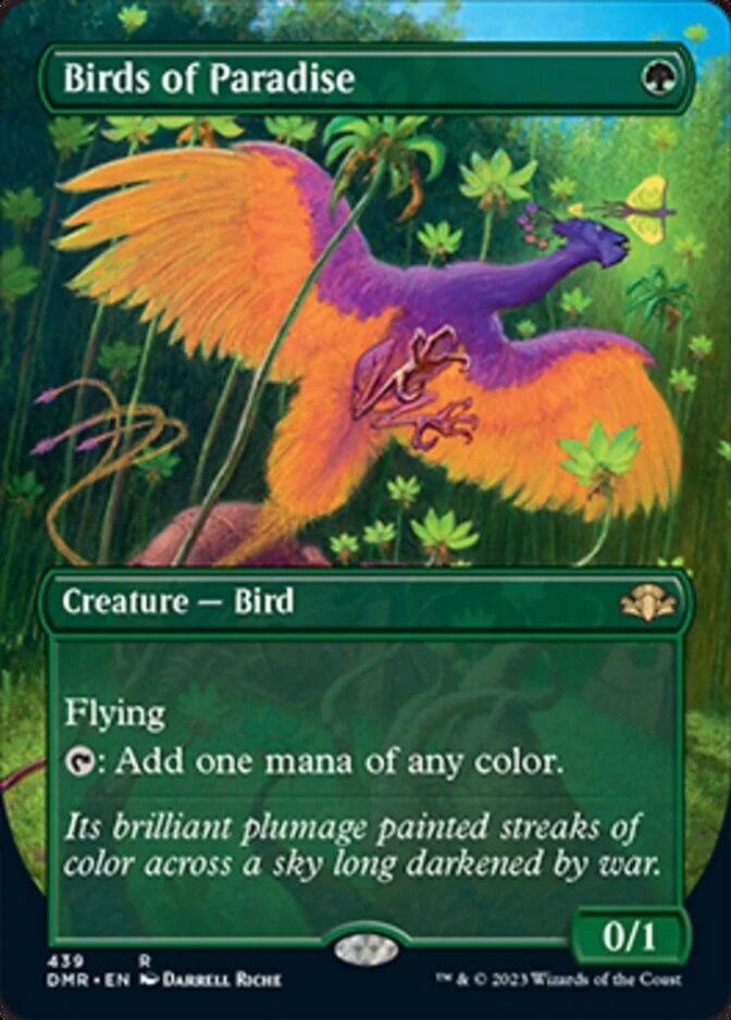Birds of Paradise <borderless> [DMR]
