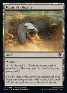 Tocasia's Dig Site
